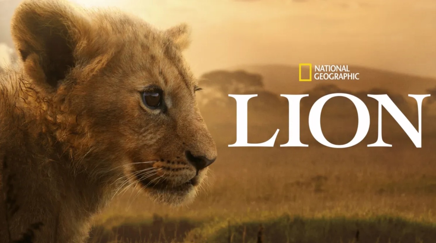 مسلسل Lion الحلقة 2 مترجمة